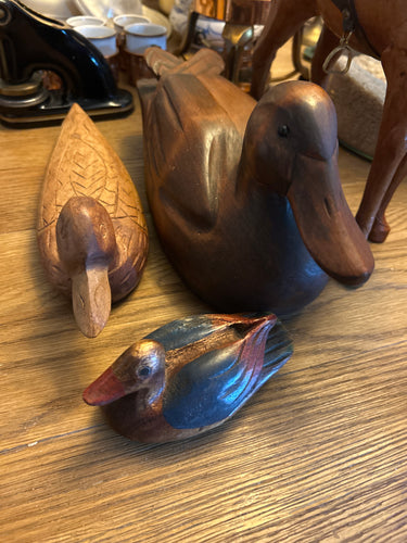Ducks