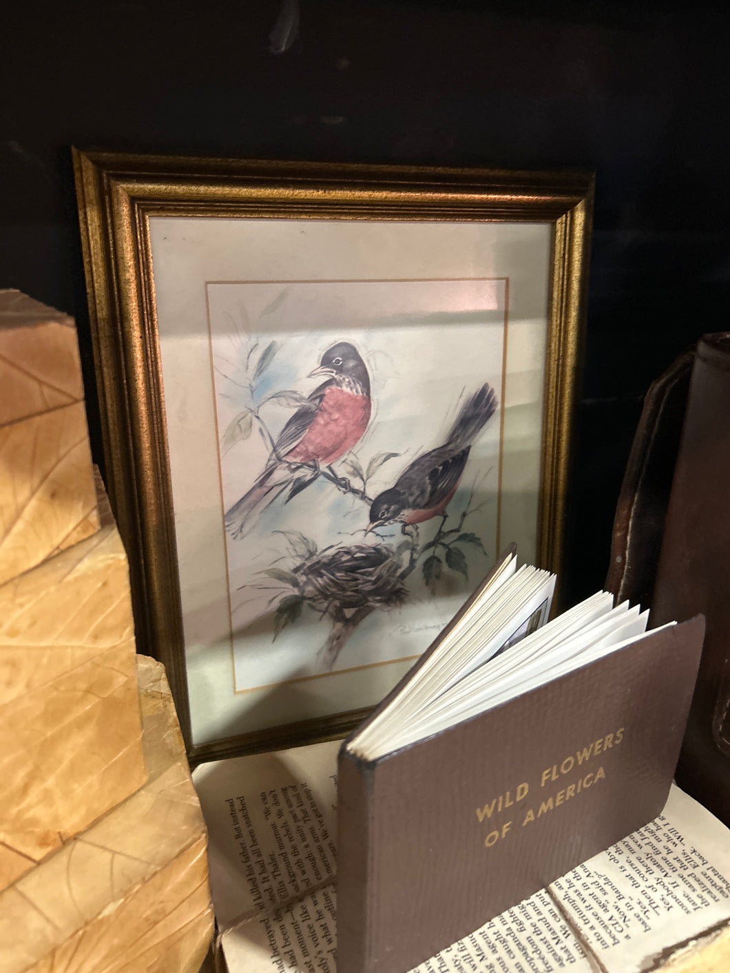 Hunter Bird Artwork