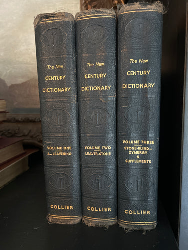 The New Century Dictionary 3 Volume Set