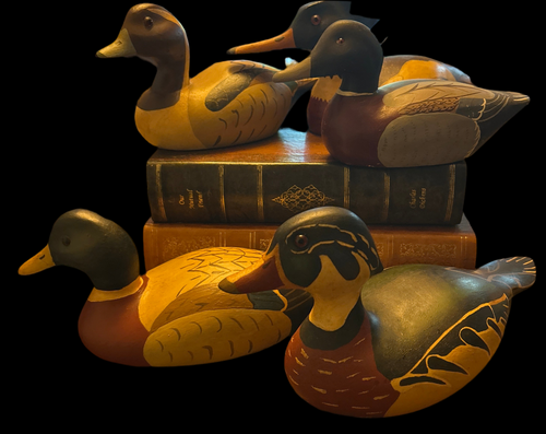 Vintage Duck