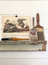 Load image into Gallery viewer, 285-286 Audubon Print