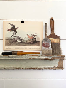 255-256 Audubon Print